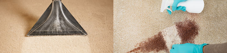 carpet cleaning services in Long Island